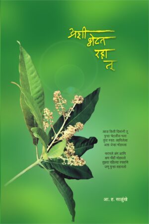 अशी भेटत रहा तू