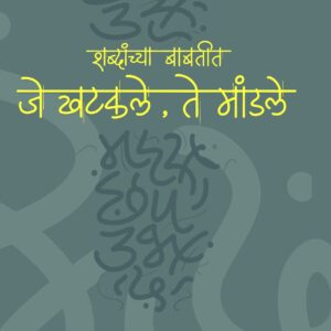 शब्दांच्या बाबतीत खटकले ते मांडले भाग 2
